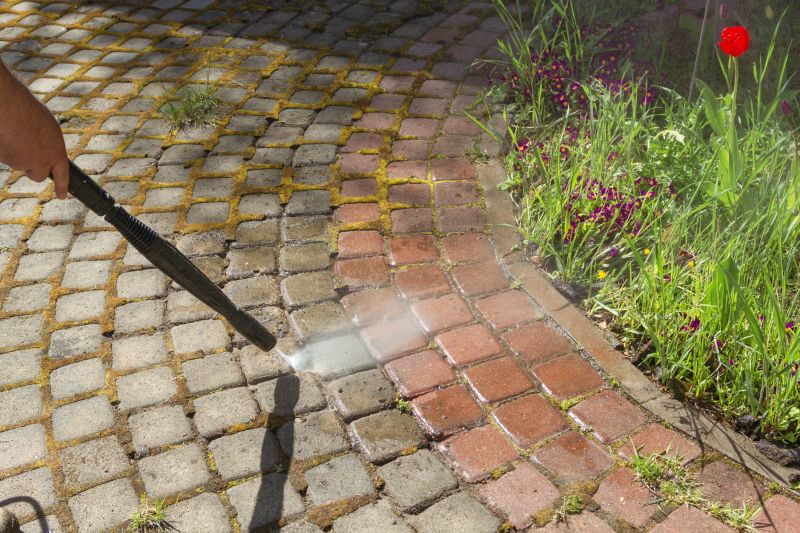 Brick Walkway Cleaning